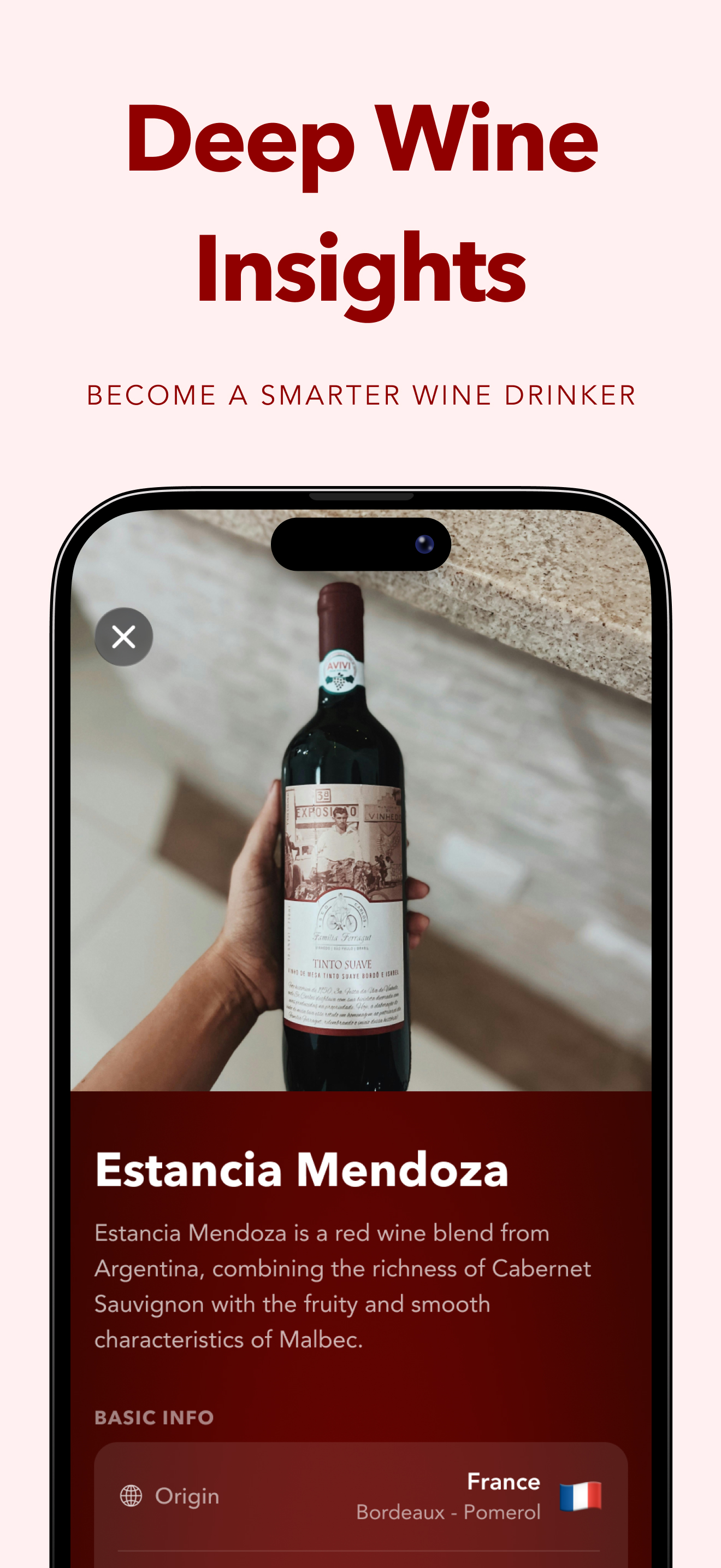 Deep wine insights
